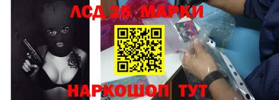гашик Будённовск