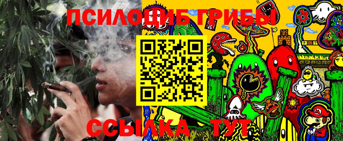 Псилоцибиновые грибы Psilocybine cubensis  Псилоцибиновые грибы Cubensis  Похвистнево  Вход с VPN 